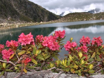 Lago della Chiusetta, 2162 m